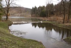 Nová lesní nádrž na Bruntálsku zadržuje v krajině vodu