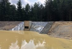 Na Třeboňsku vybudovaly Lesy ČR vodní nádrž Lesník
