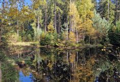Finský velvyslanec se zajímal o rentabilní hospodaření Lesů ČR na Klokočné