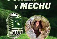 Nový díl podcastu Uchem v mechu: O hospodaření ve Východním Krušnohoří s metodičkou ochrany přírody