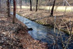 Ospirský potok zase přirozeně meandruje krajinou