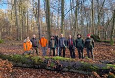 Aktivní lesnický management se v Bavorsku osvědčuje