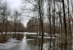 Do obory Soutok nesmí kvůli povodni do konce ledna veřejnost
