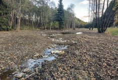Další dokončený projekt:  V přírodních meandrech zadržuje Lovecký potok na Jihlavsku vodu