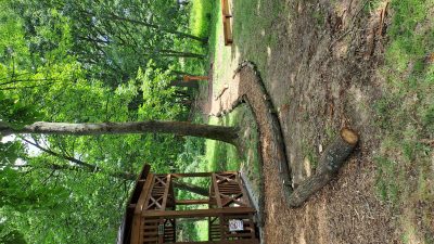 Areál Lesní pedagogiky LS Litvínov