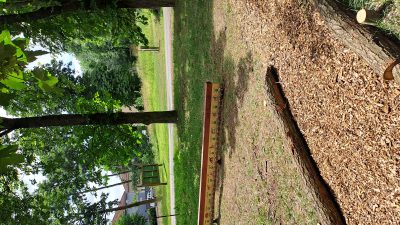 Areál Lesní pedagogiky LS Litvínov