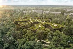 Architekti aktualizují projektovou dokumentaci nového administrativního centra Lesů České republiky v Hradci Králové