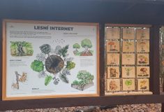 Nové interaktivní tabule na naučné stezce v Klášterci nad Ohří vzdělávají i baví