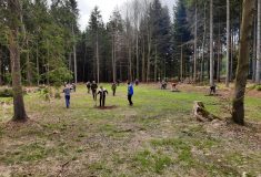 Na Kleti vzniká arboretum dřevin Blanského lesa