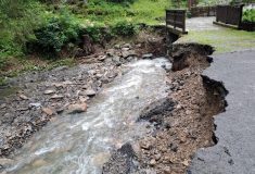 Přívalové deště za poslední měsíc Lesům ČR způsobily škody za bezmála 80 milionů korun