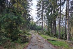 Lesní správa Český Rudolec likviduje následky bouře v okolí hradu Landštejn