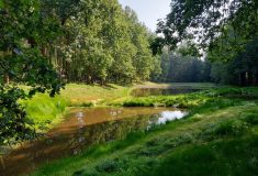 Ve Staré Oboře u Hluboké nad Vltavou nově zadržují vodu čtyři tůně