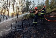 Nerozdělávejte teď v přírodě oheň, většina požárů vzniká z nedbalosti