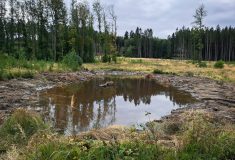 Dvě nové tůně jsou přirozenou zásobárnou vody a biotopem živočichů