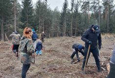 Brutal Forest v hradeckých lesích popáté