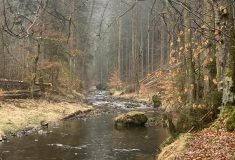 V Pavlínině údolí skončily bezpečnostní těžby kolem turistických cest