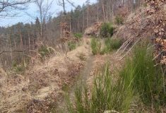 Turistická stezka nad Letovicemi je kvůli úpravám krátkodobě uzavřená