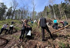 Severočeští lesníci se zástupci Ústeckého kraje vysadili dva a půl tisíce dubů a symbolickou lípu