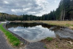 Lesy ČR vrací vodu do krajiny: Obnova nádrží, nové tůně a revitalizace potoka v severních Čechách