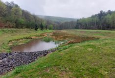 Lesy ČR vrací vodu do krajiny:  Obnova nádrží, nové tůně a revitalizace potoka v severních Čechách