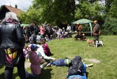 Na křivoklátské akci pro veřejnost lesníci připomněli patnácté výročí založení lesnického parku jako území pro přírodu i pro lidi