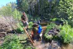 Ekologická mise u Malše: opatření pro soužití bobra a perlorodky