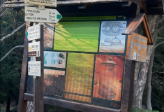 Petříkov a Branná v Jeseníkách: Lesy ČR opraví dvě turistické trasy poškozené při loňských povodních