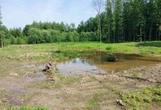 Jednoduché úpravy, velký efekt: Lesy ČR vrací vodu do krajiny na Havlíčkobrodsku