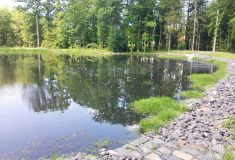 Vodní nádrž Dachova u Hořic obnovily Lesy České republiky