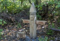 Oblíbenou lesní naučnou stezku obnovily v Městě Albrechtice Lesy České republiky