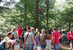 Výjimečná příležitost: Zveme na sobotní DEN LESŮ do obory Vřísek na Českolipsku