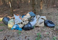 Les není otevřená popelnice. Proč si to ale někteří pořád myslí