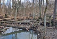 Bobří soutěska v CHKO České středohoří se od října znovu otevře veřejnosti