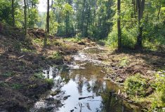 Bobří soutěska v CHKO České středohoří se od října znovu otevře veřejnosti