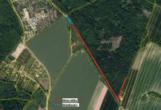 V Klimkovicích na Ostravsku se začnou těžit poškozené stromy, jde o bezpečnost