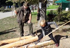 Lesní pedagogové zvou počátkem října na Oslavy lesa na Floře Olomouc