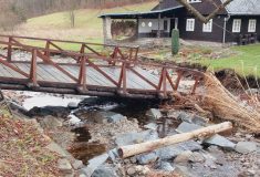 Rok po povodních: Lesy ČR obnovují koryta toků i lesní cesty,  investice už přesáhly 170 milionů korun