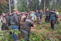 Přeshraniční česko-německý lesnický projekt pokračuje