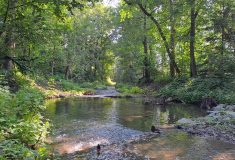Evropské peníze pro českou přírodu: Obnova toků v rámci programu Lesů ČR