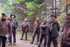 Výchovné zásahy a obnova jedle bělokoré: lesníci sdíleli zkušenosti v terénu