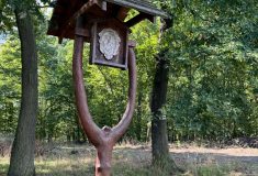 Pozvánka: Den lesů nové generace se koná za 14 dní i v Podkomorských lesích u Brna