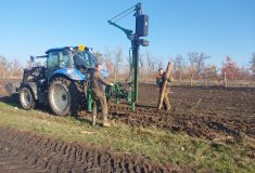 Lesy ČR obnovují větrolamy a chrání tak půdu i zvěř