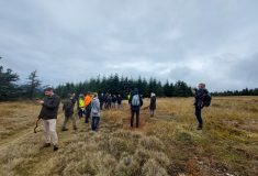 Ochraně tetřívka se v Krušných horách společně věnují čeští a saští lesníci