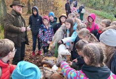 Děti a učitelé ze čtrnácti škol Vysočiny poznávali les všemi smysly