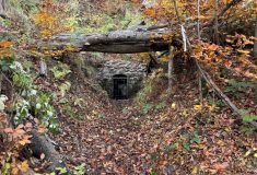 Lesy ČR pomáhají chránit ohrožené druhy: Podpořily opravu vchodu do zimoviště netopýrů