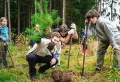 Skauti z oddílu Záře pomohli na Rumbursku s obnovou lesa po kalamitě