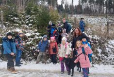 Třída si vybrala stromek přímo v lese