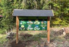 Tip na ideální rodinný výlet v Krušných horách s novými lávkami, přístřeškem, houpačkou, hrazdou a infotabulemi