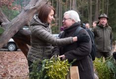 Přirozená obnova a výchova porostů: Lesy ČR naplňují strategii