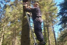 Lesníci s ornitology pečují v Jizerských horách o budky pro dutinové ptáky a přirozeně tak chrání les před škůdci